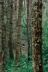 BIB: 
                            <button type="button" onclick="openModal(25235626)" class="btn btn-primary btn-sm float-right btn-popup" data-toggle="modal" data-target=".modal-high-quality">
                        <i class="fas fa-shopping-cart"></i> Add to Cart
                    </button>
                                            <button type="button" onclick="isThisMe(25235626, true)" class="btn btn-success btn-sm float-right btn-popup btn-isme hidden" data-toggle="tooltip" data-placement="bottom" title="นี่คือรูปของคุณใช่ไหม คลิกที่นี่เพื่อเอาเข้าอัลบั้ม">
                        <i class="fas fa-plus"></i> Add to album
                    </button>
                    <button type="button" onclick="isThisMe(25235626, false)" class="btn btn-warning btn-sm float-right btn-popup btn-isnotme hidden">
                        <i class="fas fa-ban"></i> Remove from album
                    </button>